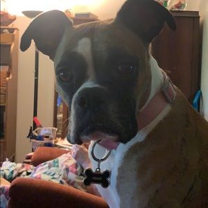 Meet your Posher, Karen